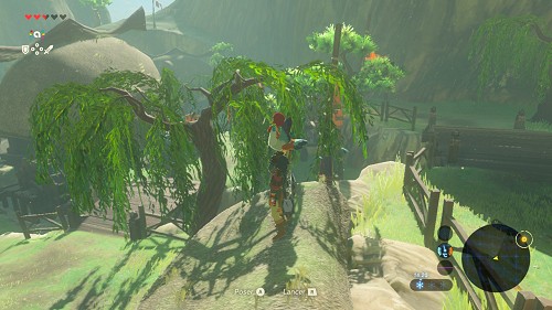 side quest Flown the Coop in Breath of the Wild