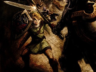 Link is fighting in Twilight Princess