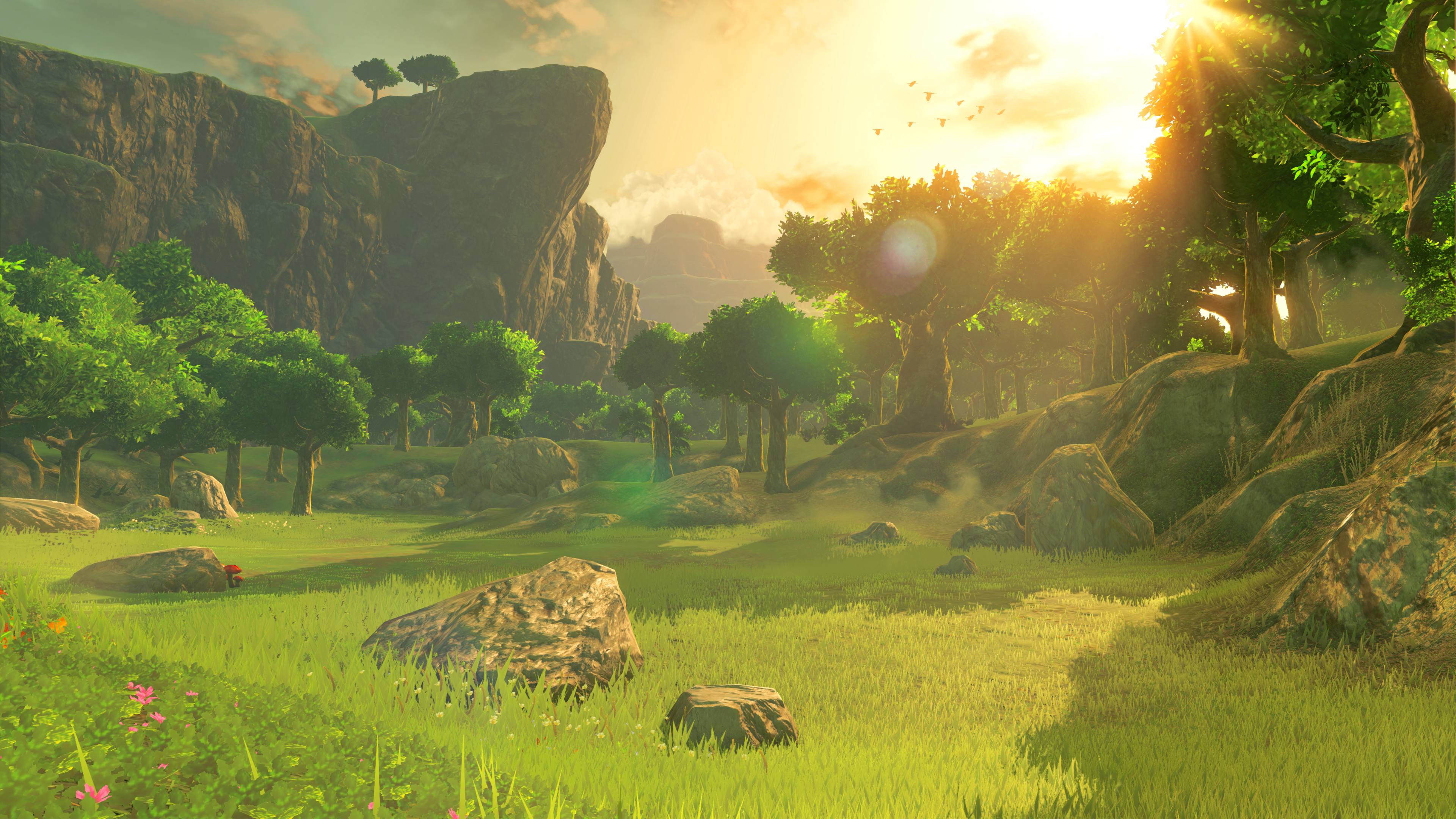 Image result for breath of the wild