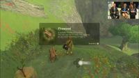 Breath of the Wild screenshot