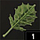 Korok Leaf Breath of the Wild