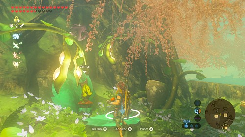 side quest Riddles of Hyrule in Breath of the Wild