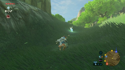 side quest Legendary Rabbit Trial in Breath of the Wild