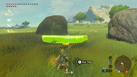 A Korok in Breath of the Wild