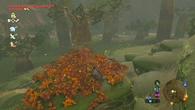 A Korok in Breath of the Wild