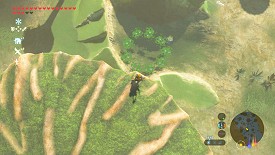 A Korok in Breath of the Wild