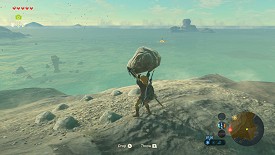 A Korok in Breath of the Wild