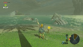 A Korok in Breath of the Wild
