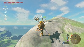 A Korok in Breath of the Wild