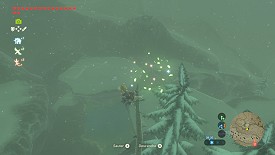 A Korok in Breath of the Wild