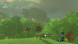 A Korok in Breath of the Wild