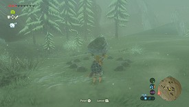 A Korok in Breath of the Wild