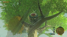 A Korok in Breath of the Wild