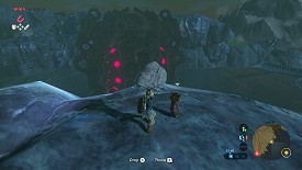 A Korok in Breath of the Wild