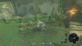 A Korok in Breath of the Wild