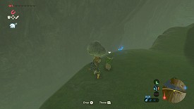 A Korok in Breath of the Wild