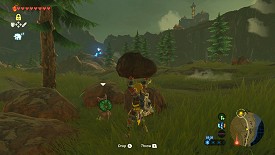 A Korok in Breath of the Wild