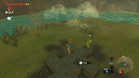 A Korok in Breath of the Wild