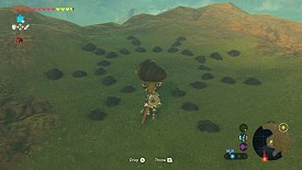 A Korok in Breath of the Wild