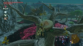 A Korok in Breath of the Wild