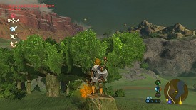 A Korok in Breath of the Wild