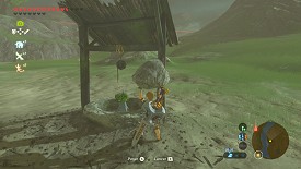 A Korok in Breath of the Wild