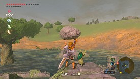 A Korok in Breath of the Wild