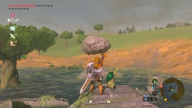 A Korok in Breath of the Wild