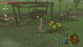 A Korok in Breath of the Wild