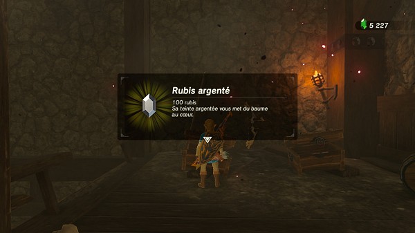 a silver rupee in Hyrule Castle Breath of the Wild