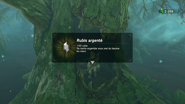 a silver rupee in the Lost Woods Breath of the Wild