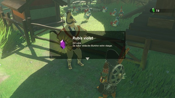 purple rupee at Kakariko Breath of the Wild