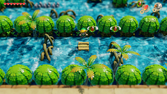 Link's Awakening screen capture