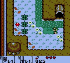 Mysterious Forest Link's Awakening