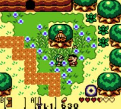 Link's Awakening walkthrough - Animal Village, Yarna Desert and