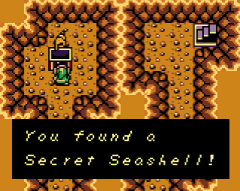 secret seashell 