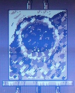 alligator painter in Link's Awakening