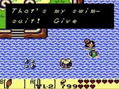 The Legend of Zelda Link's Awakening Helpful Tips and Tricks