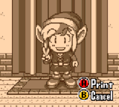 Legend of Zelda Link's Awakening [Remake] art, 830890_