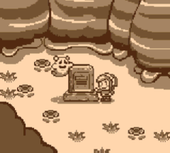 Photograph 8 in Link's Awakening