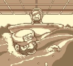 Photograph 10 in Link's Awakening