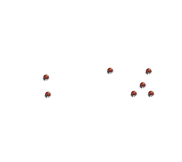 map of Skyloft