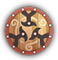 Braced Shield