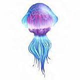 jellyfish Twilight Princess