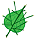 Deku leaf